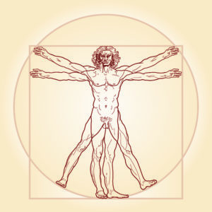 L'homme de Vitruve